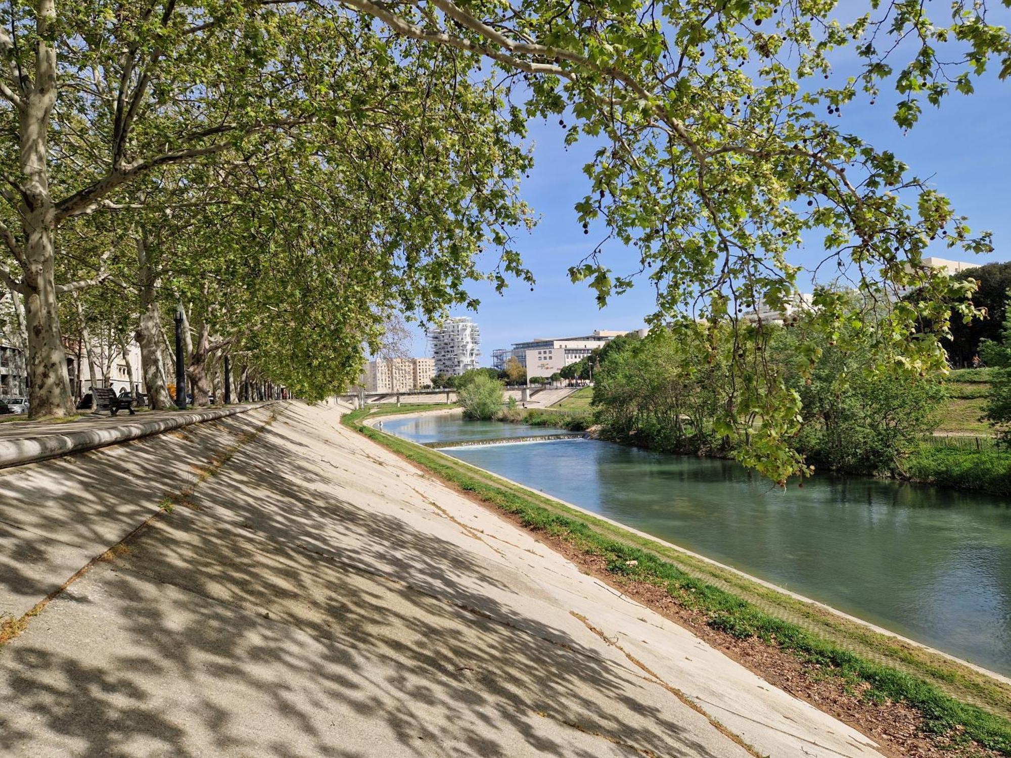 Appartement Avec Vue Sur Le Lez 蒙彼利埃 外观 照片