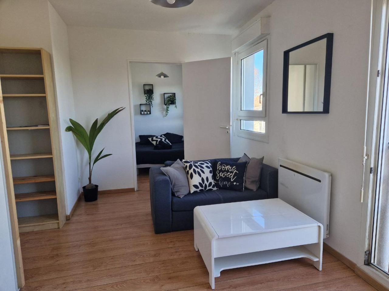 Appartement Avec Vue Sur Le Lez 蒙彼利埃 外观 照片
